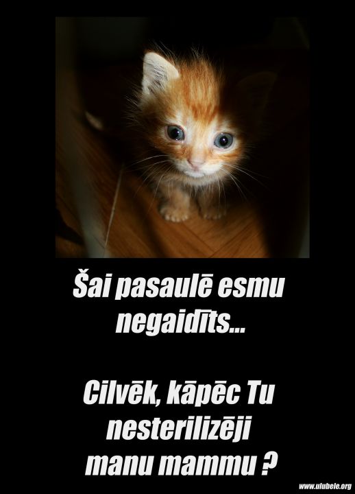 tl_files/bildes/Asociativie foto/Sai_pasaule_vini_ir_negribeti__1.jpg