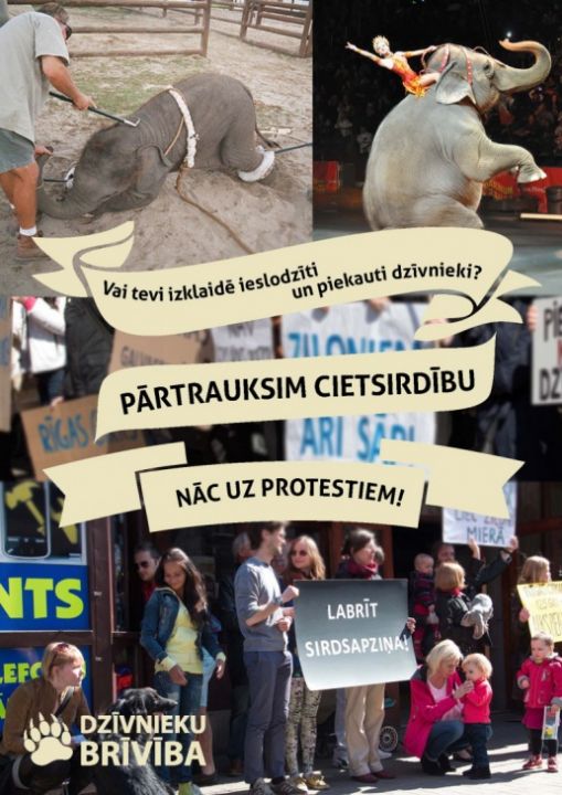 tl_files/bildes/Asociativie foto/cirks.jpg