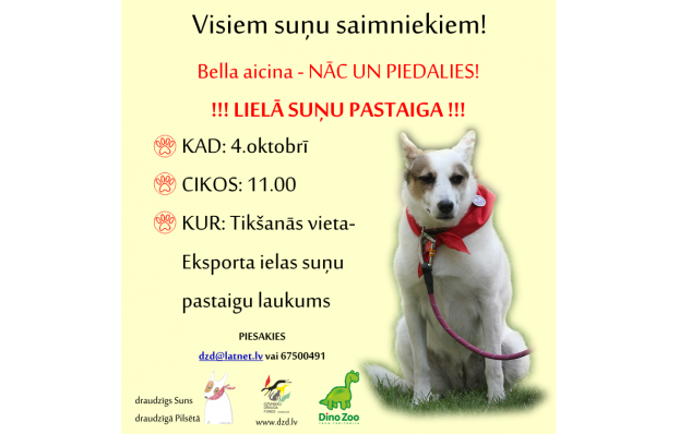 tl_files/bildes/Asociativie foto/notikumi/2015.gads/liela_pastaiga2.png