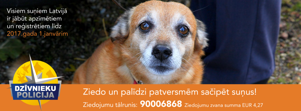 tl_files/bildes/Notikumi/DzP-gala-FB.png